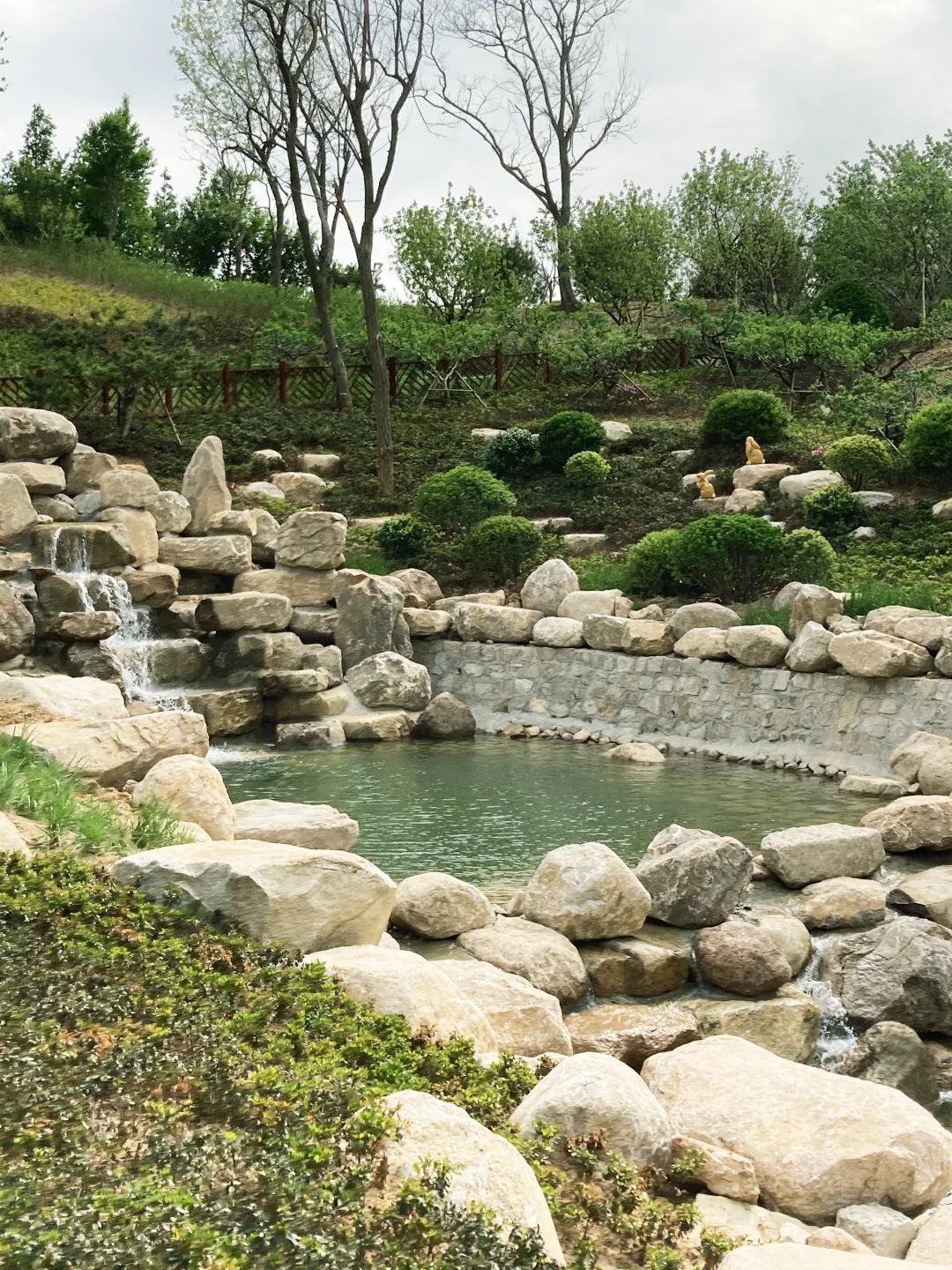 青岛浮山森林公园好玩吗,青岛浮山森林公园开放时间