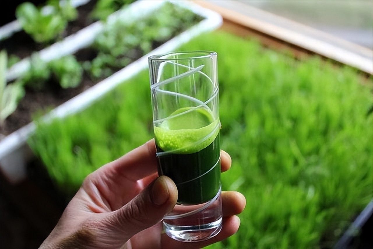 如果发现病不治能活多久,如果发现患癌不治疗的话能挺多久