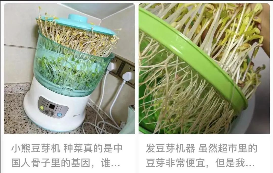 十大鸡肋小家电排行榜,10个鸡肋无用的小家电