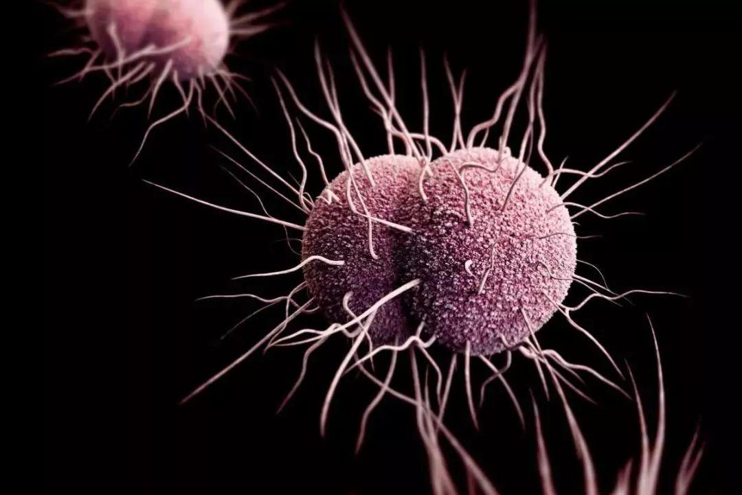 7种疾病会传播,可以通过性传播的疾病有哪些