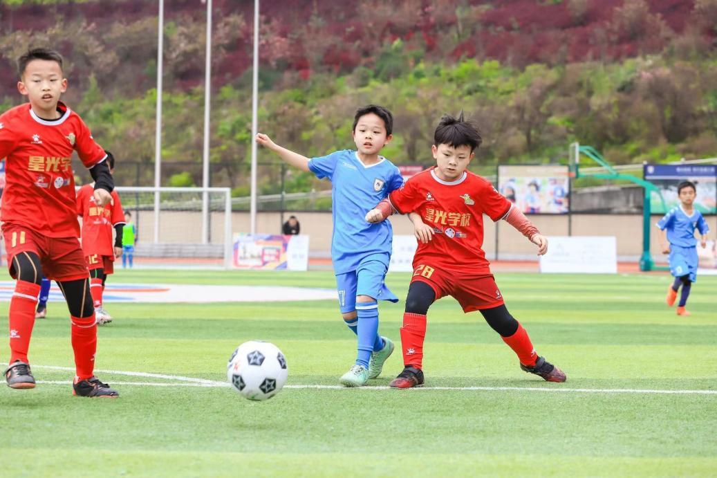 公益体彩进校园,体彩公益在行动二维码