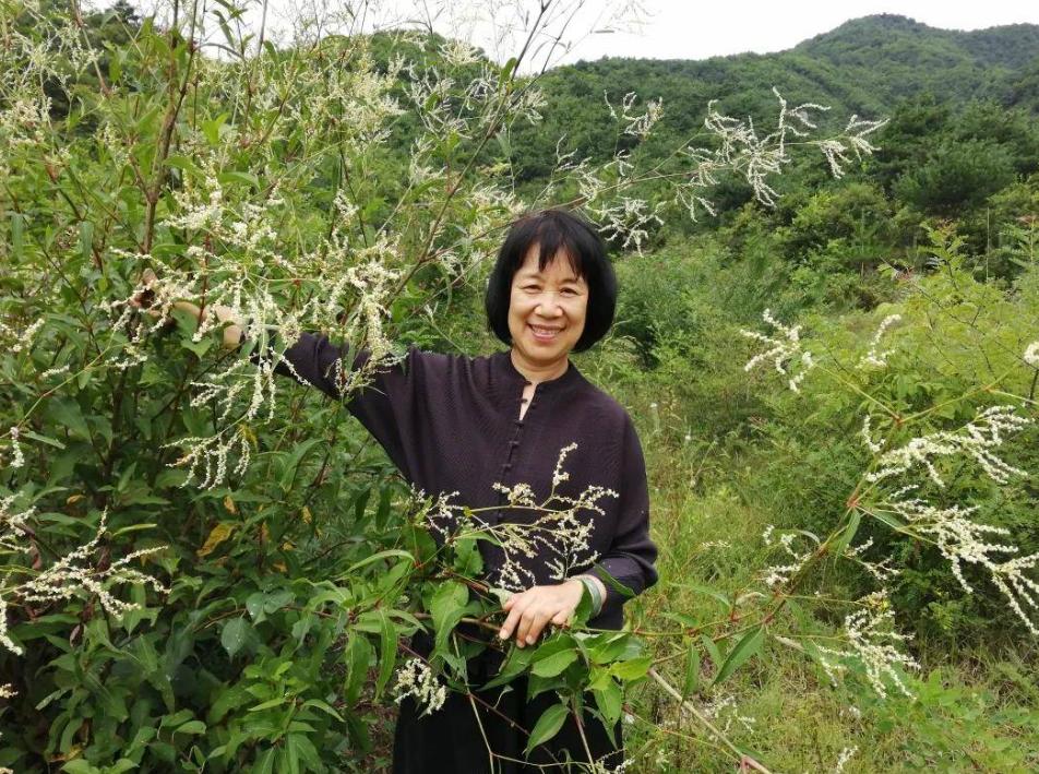 《歇马山庄的两个女人》：空房与心灵的彷徨，乡村女人的地域之殇