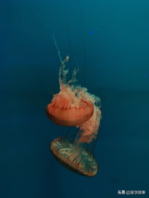 杨绛先生说干嘛要生气,杨绛先生的与人相处之道