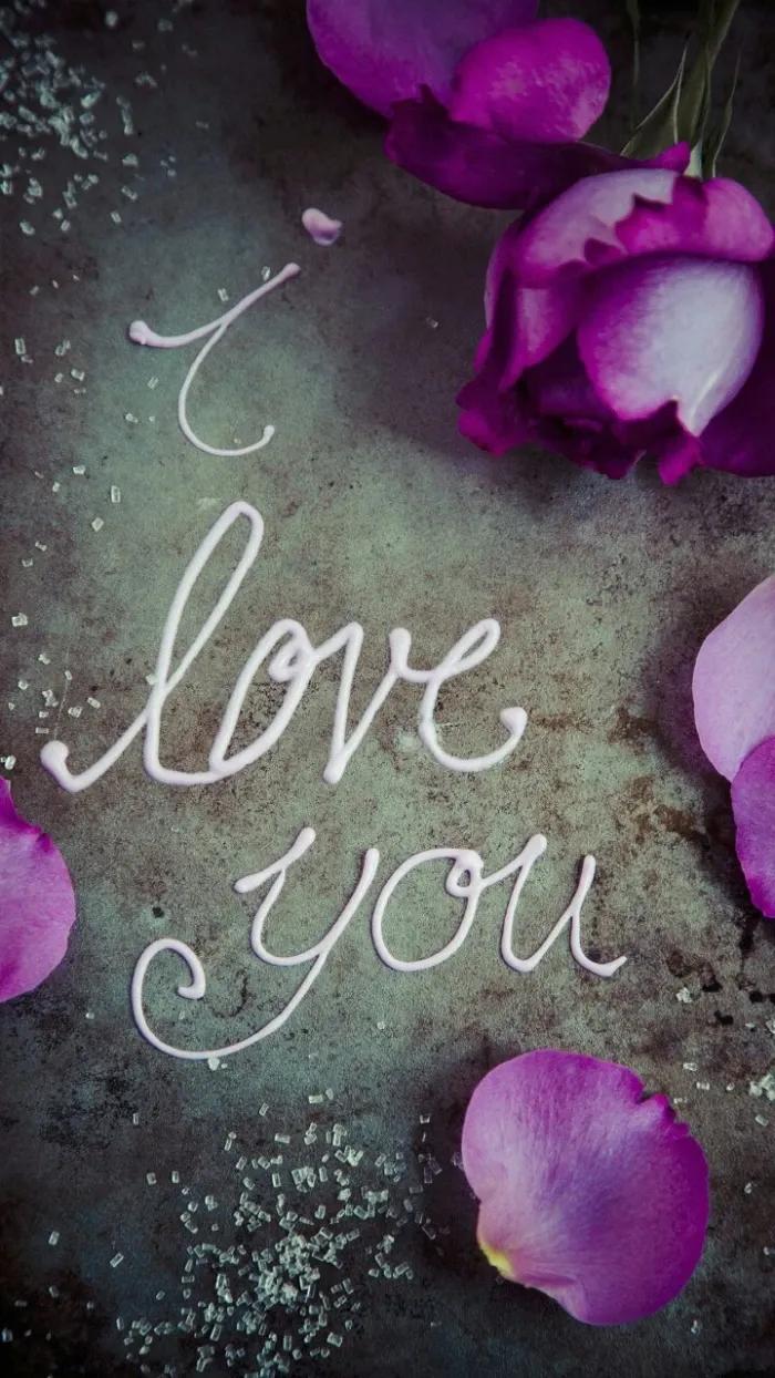 求婚送什么颜色的玫瑰花比较合适,玫瑰花的外形特点和颜色的特点