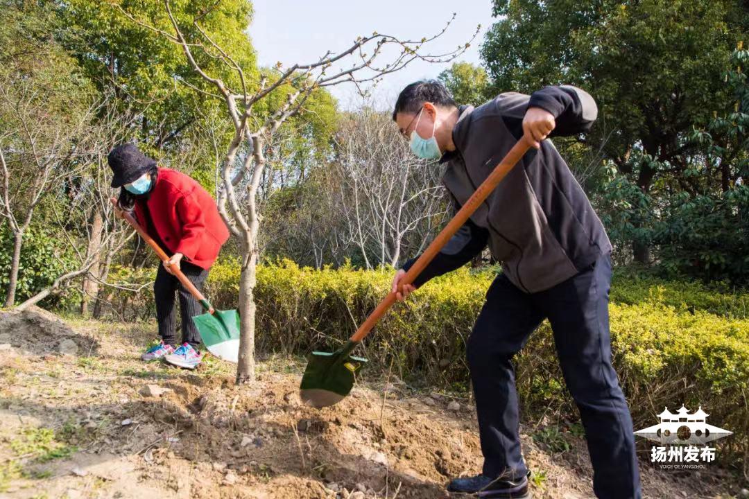 开展春季植树造林助力生态文明,扬州出台造林绿化工作意见