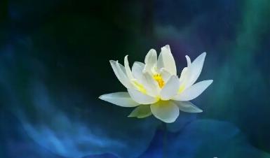 怎么做一个佛系的人,该怎么当一个佛系老师