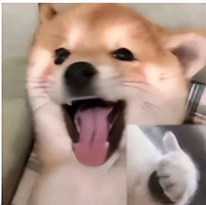 没有套套的时候，人们怎么花式避孕的？