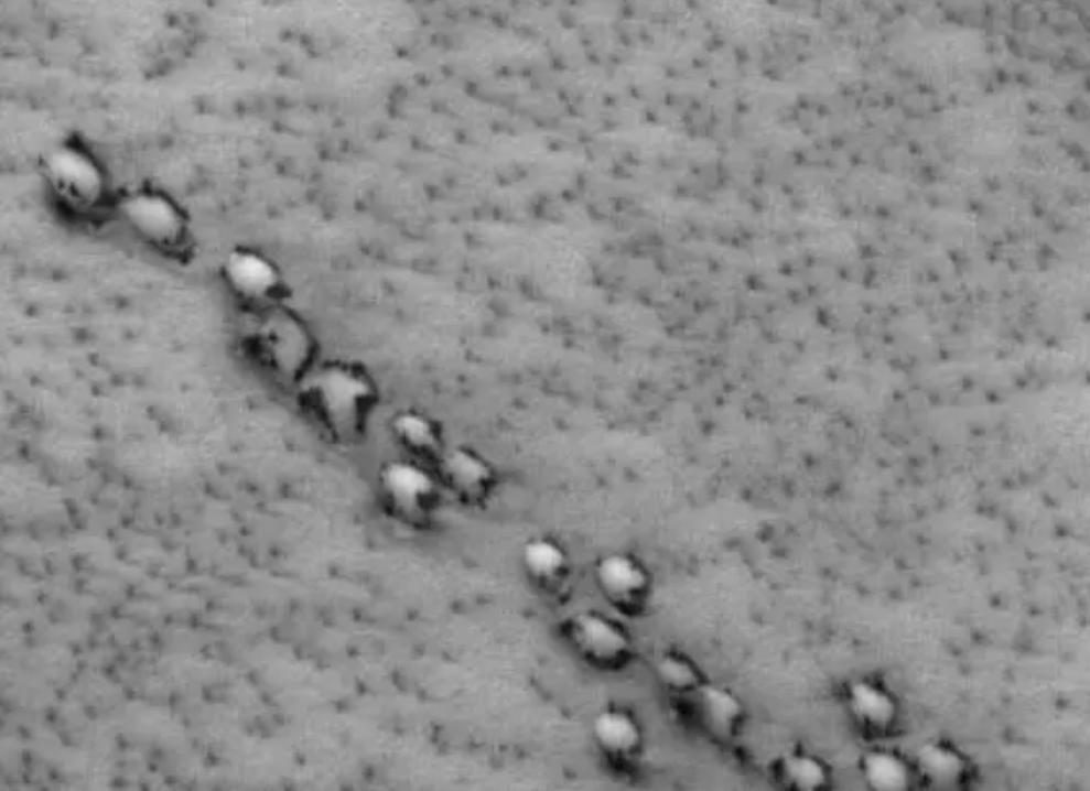 火星上有没有外星人存在,火星真的发现了外星人的踪迹吗