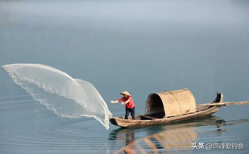 这种“黑鲤鱼”在野外可是个宝贝，钓不得抓不得，属我国特有物种