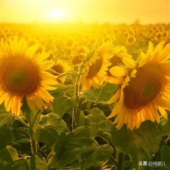 儿子当年没考上高中，现在假期从上海返回昆明，购买了两套房