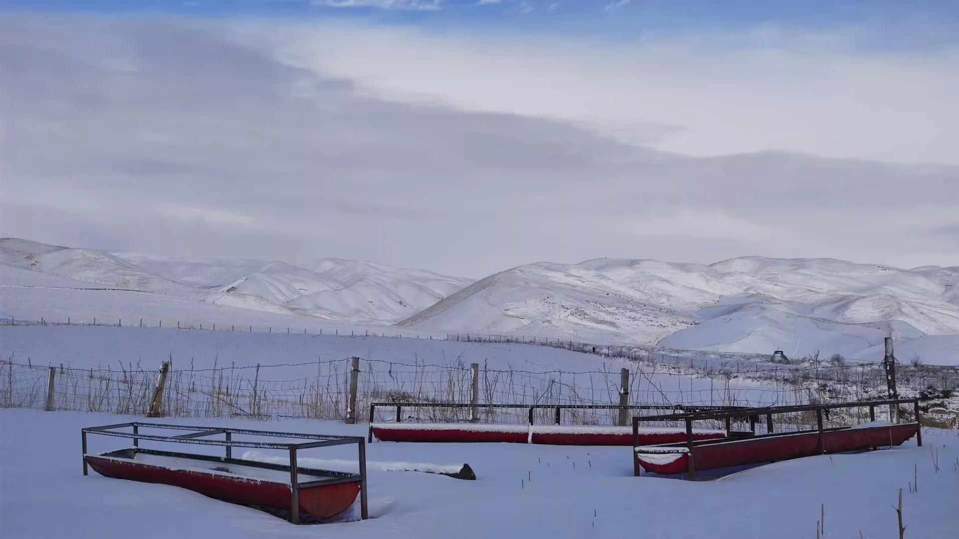 现在新股上市前5天怎么操作,新股上市如何操作