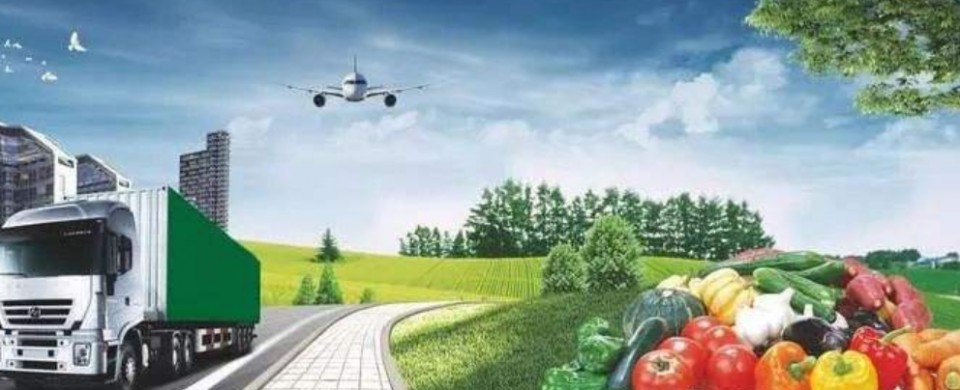 标明冷链配却只用普通包装本来生活冷链配被质疑名不符实