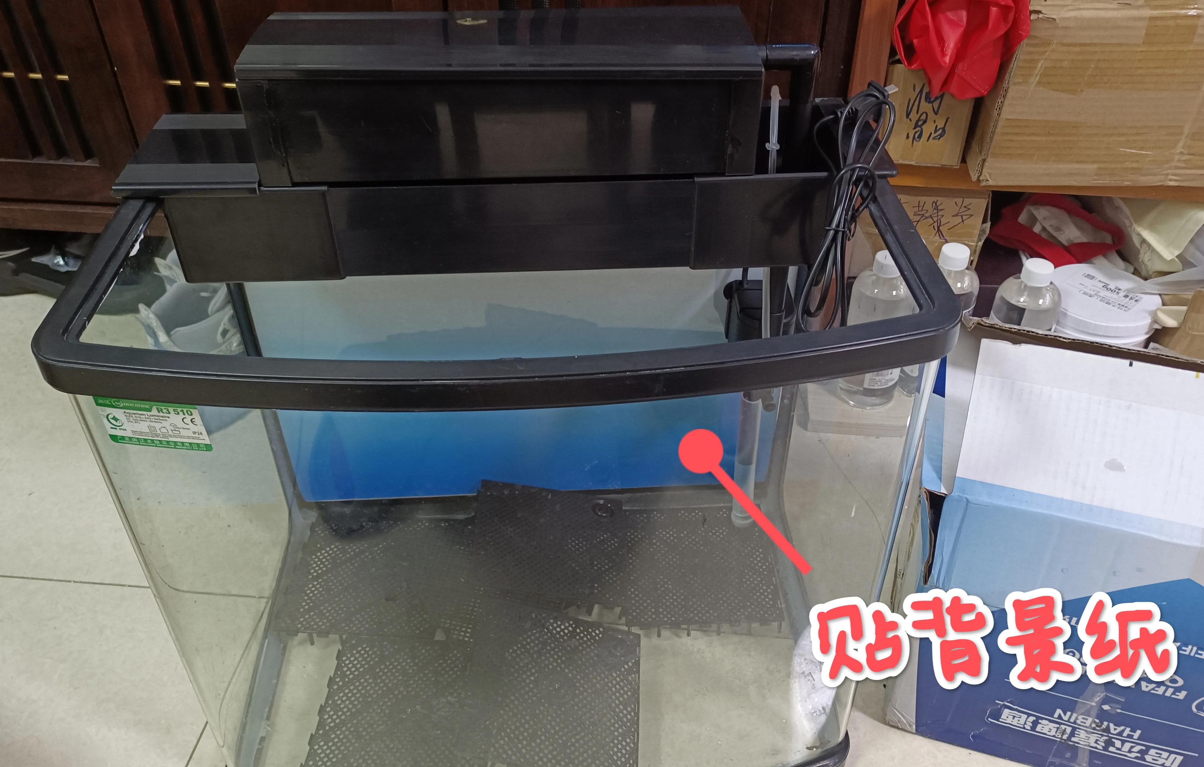 闽江溪流鱼缸,溪流缸自制鱼缸全部过程