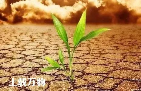 中医里的金木水火土各代表什么,中医里的金木水火土怎么解释