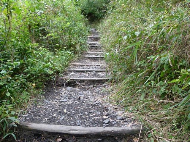 谐趣幽默的2副精品对联,最幽默的对联100副欣赏