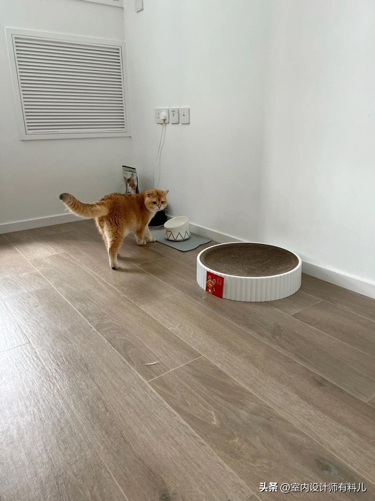 香港小户型房子大改造,香港房屋改造