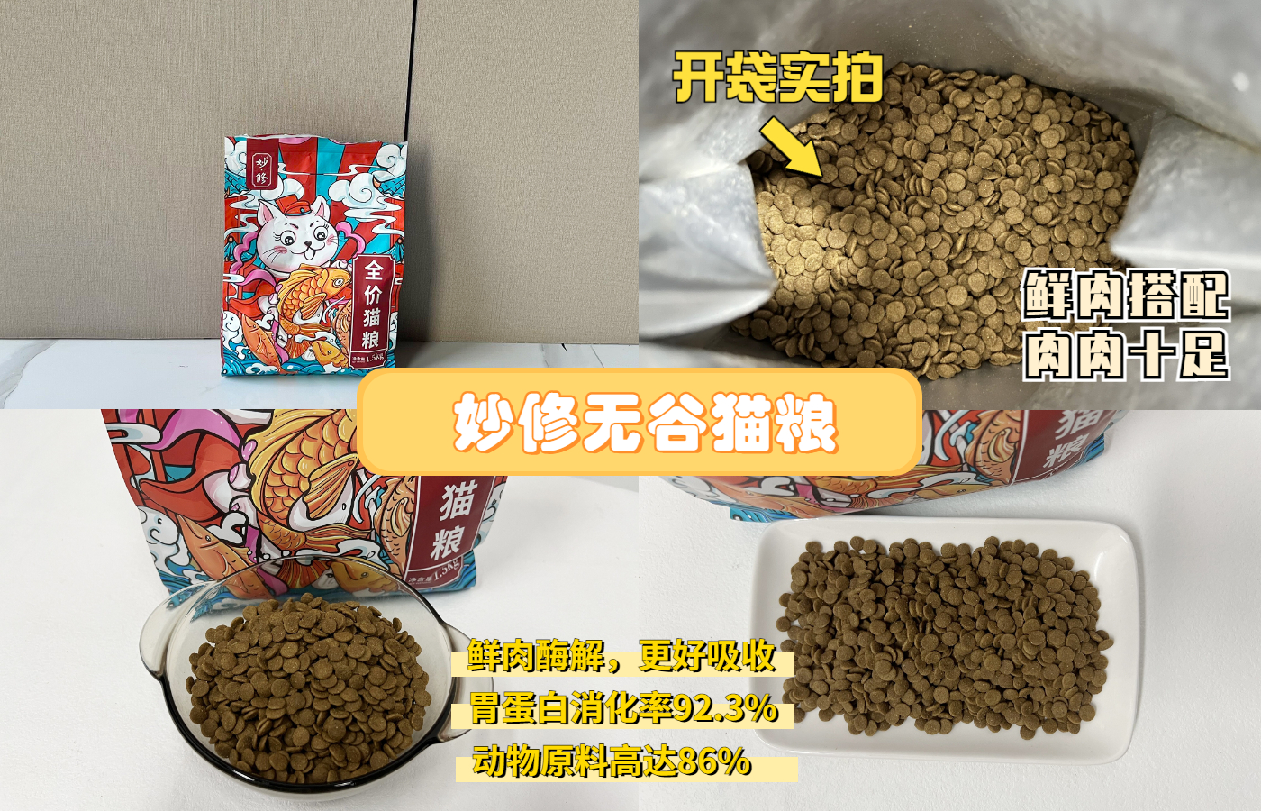 真的不能随便养猫吗,为什么说有些人千万不能养猫