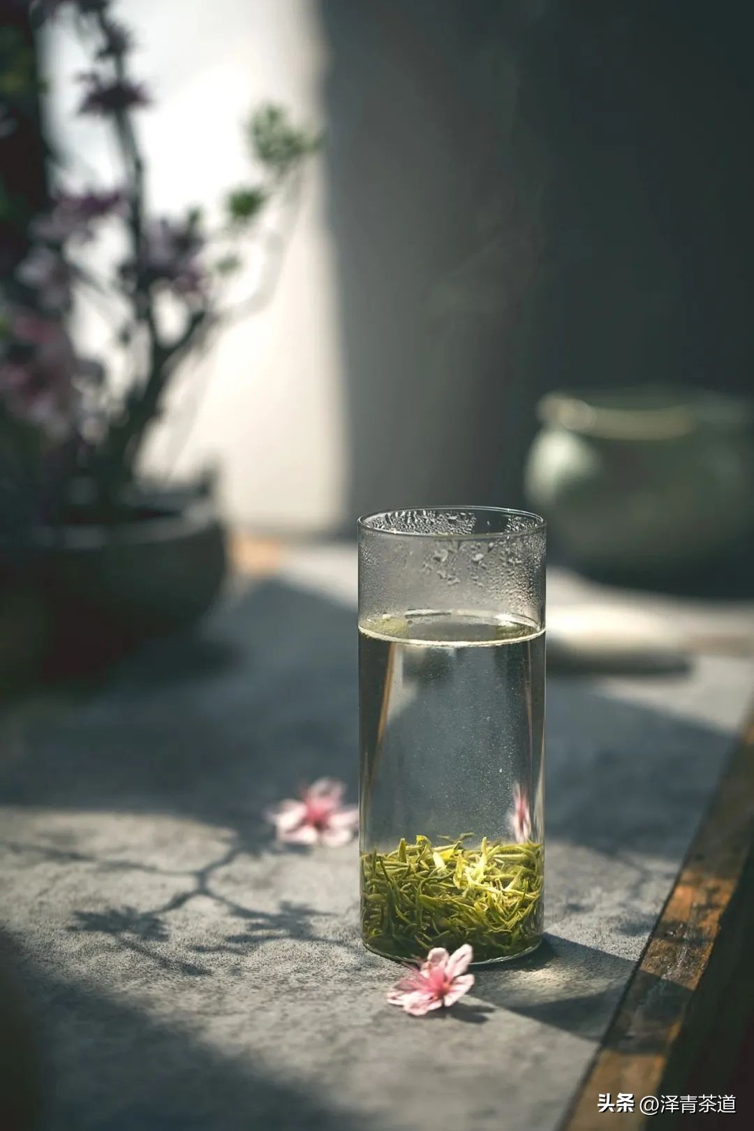 谷雨适合喝什么茶,谷雨喝什么茶叶