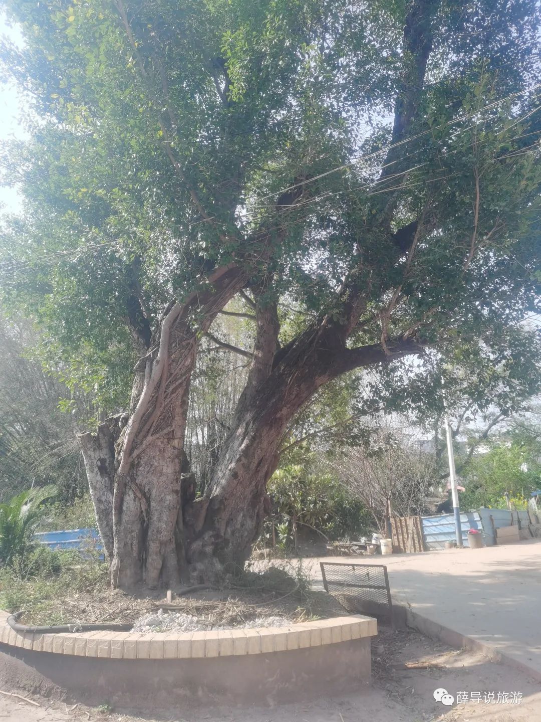 唐江记忆,顺流逆流男声新版沧桑