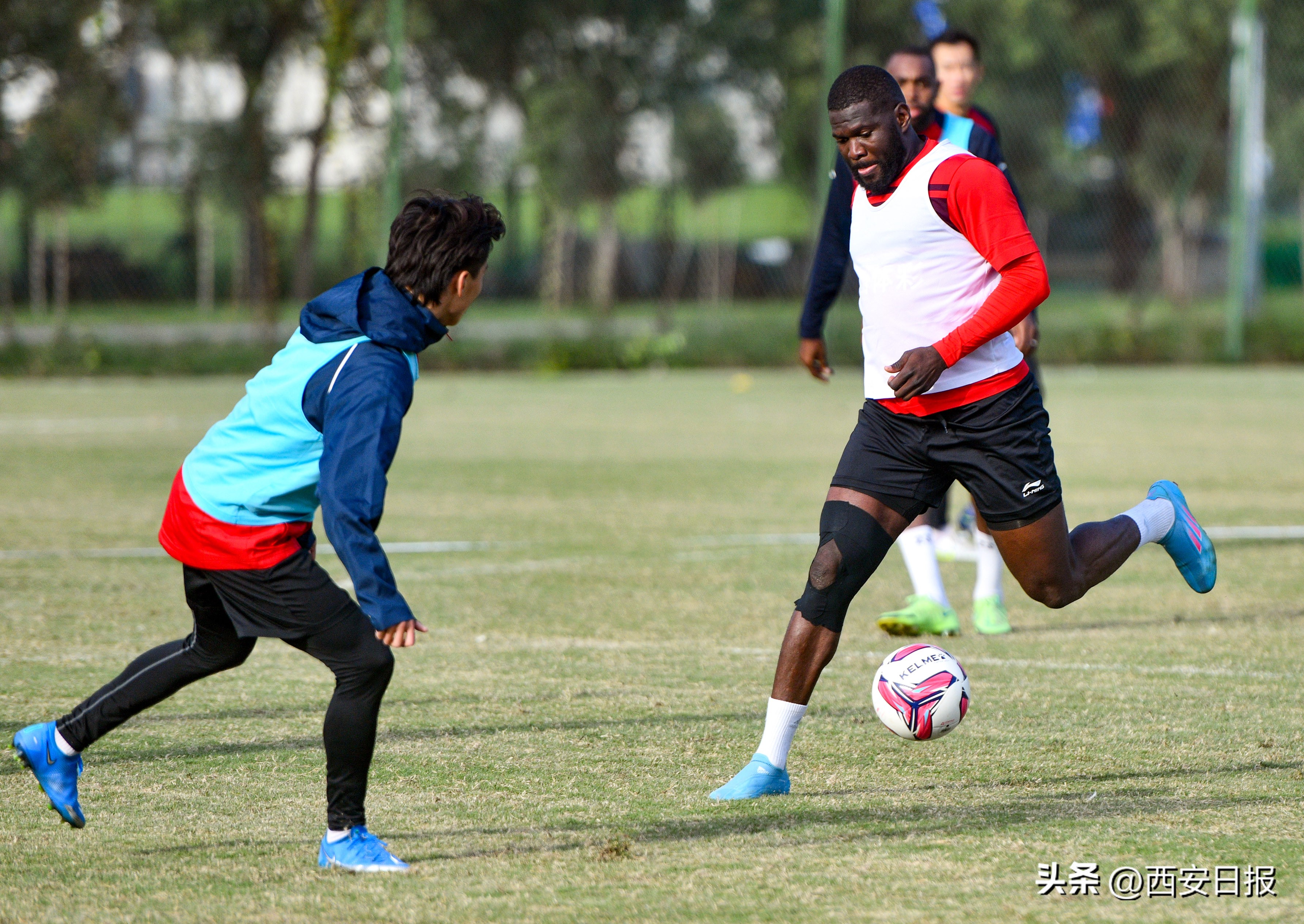 中甲西北狼最新视频,中甲西北狼最新信息