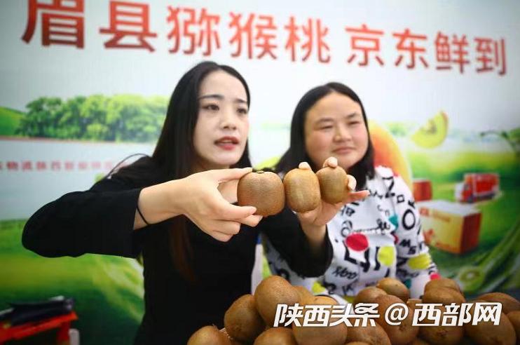 眉县猕猴桃大订单,眉县猕猴桃双节订单