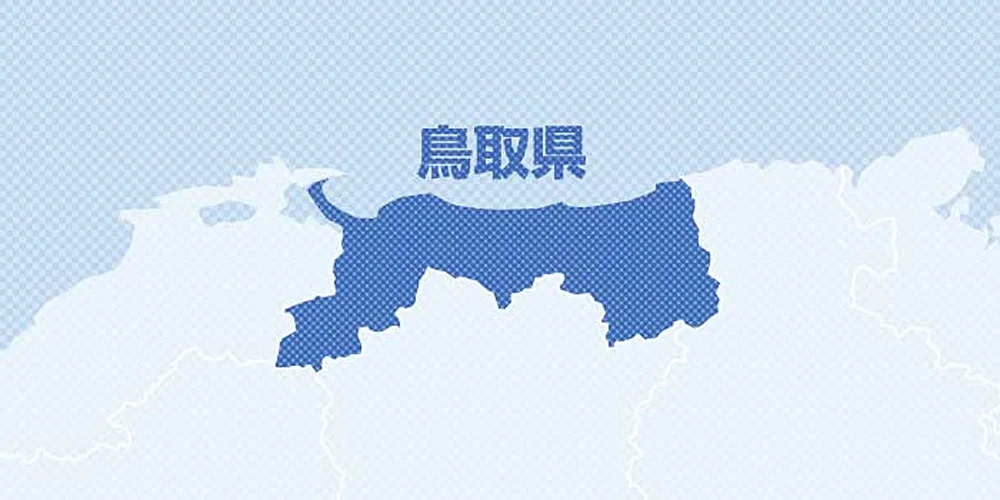 日本注射器,日本海域不明注射器