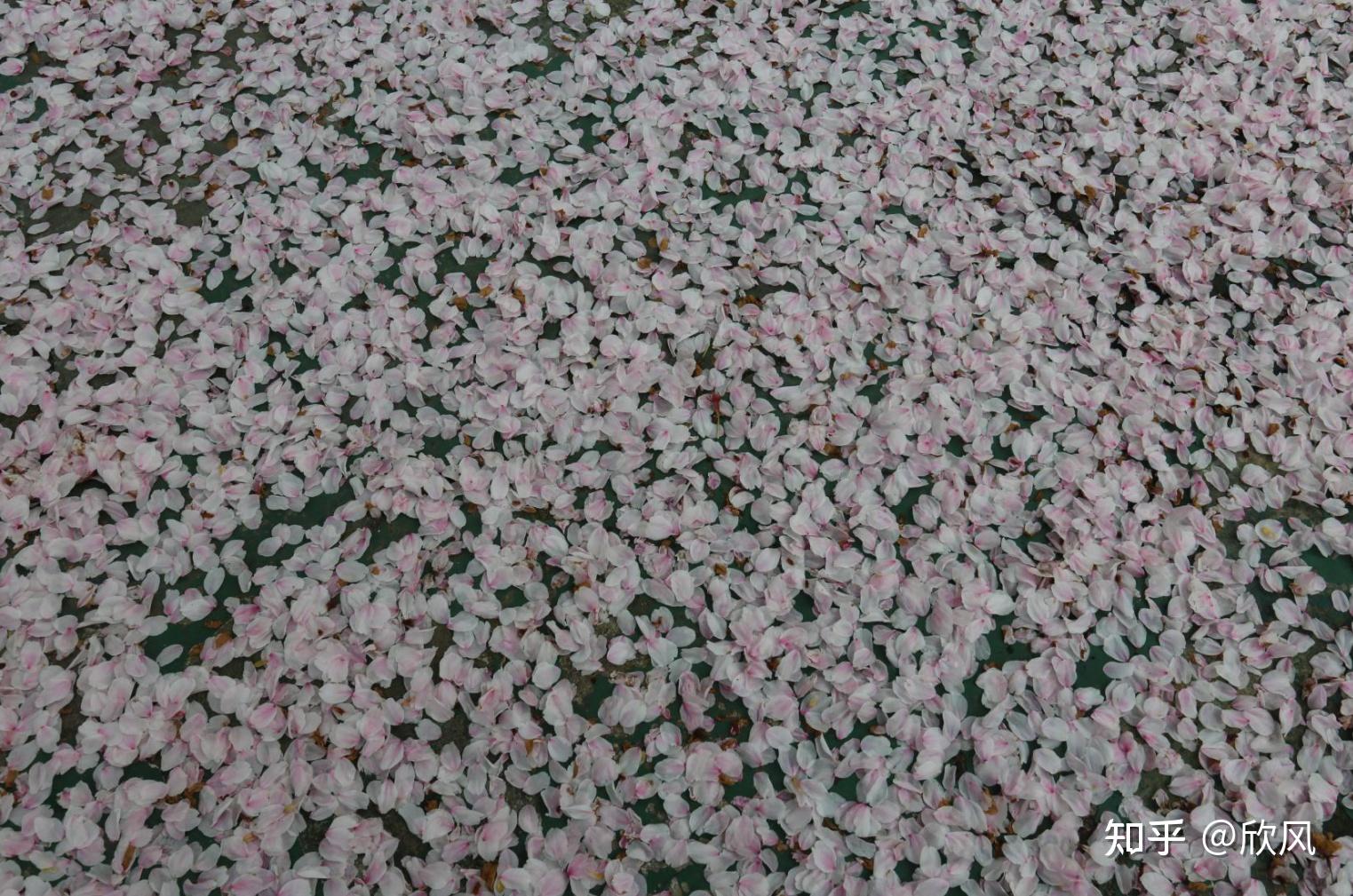 2-3天适合去哪里旅游湖北,湖北十堰旅游攻略三日游