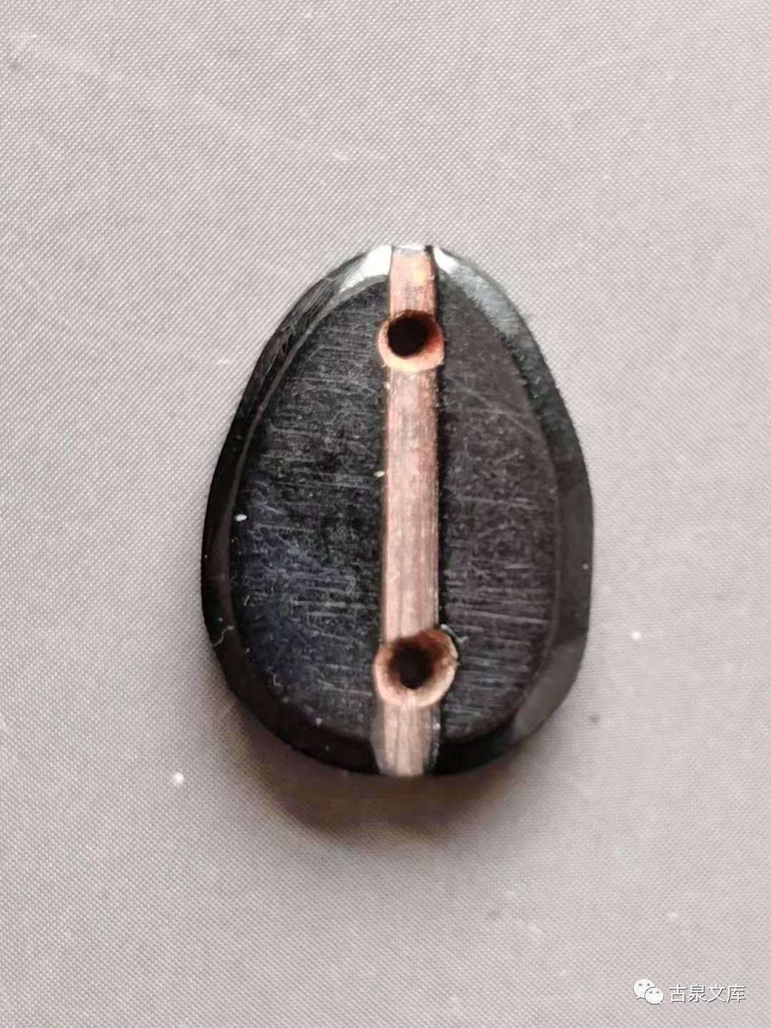 天然贝币真品价格,原始贝币发展史