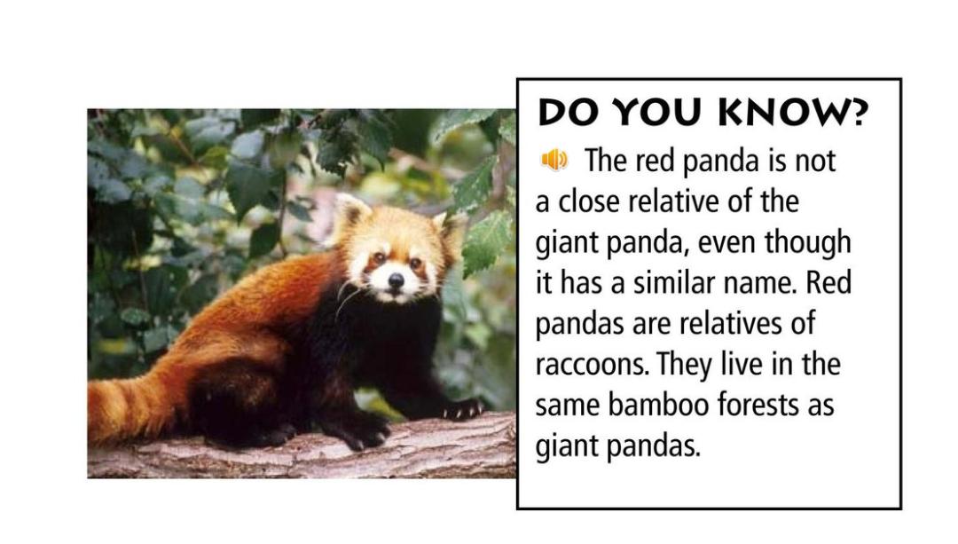 暑假带孩子怎么玩好,暑假带娃怎么玩