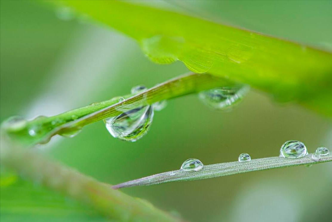 老话说“年景好不好，四月看八九”啥意思？八九指哪天？答案来了