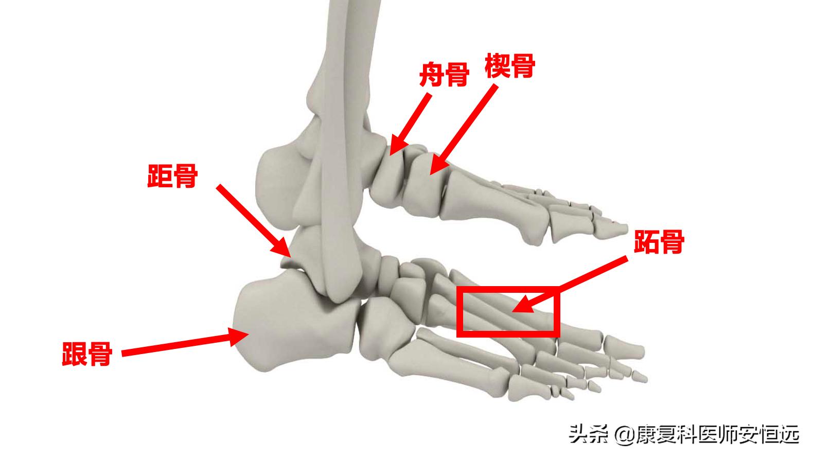 脚底板爱发烫是什么原因,脚底板生茧很疼怎么回事