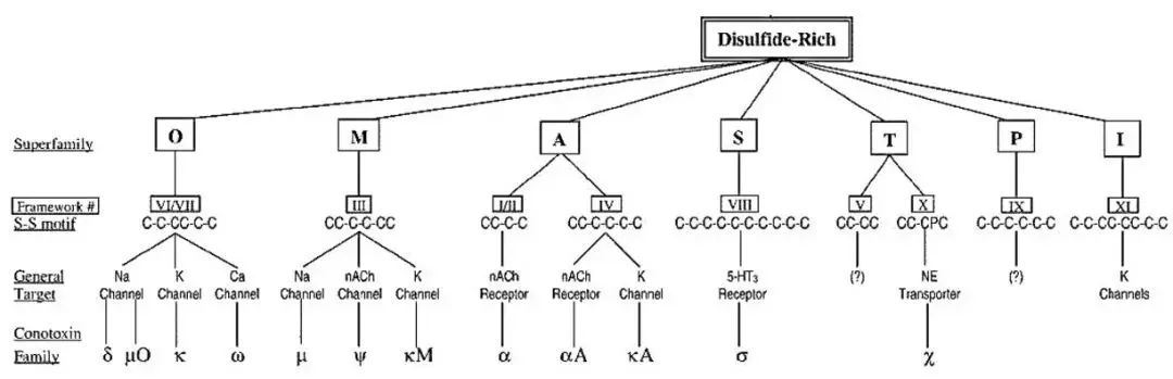 介绍一个名字吓人的皱纹杀手