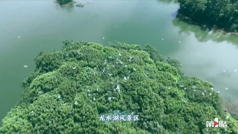 重庆游长江三峡的体验,重庆旅游攻略精彩瞬间记录