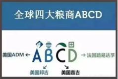 粮食不能自给的难题,中国粮食命脉