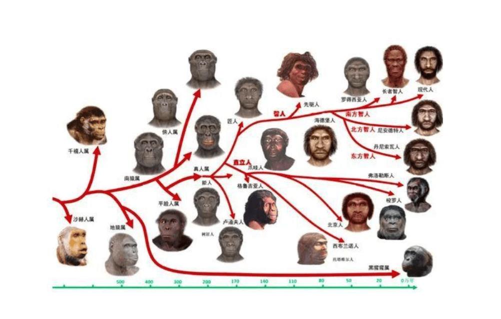 宝马冰淇淋歧视事件,宝马mini歧视事件即兴评述
