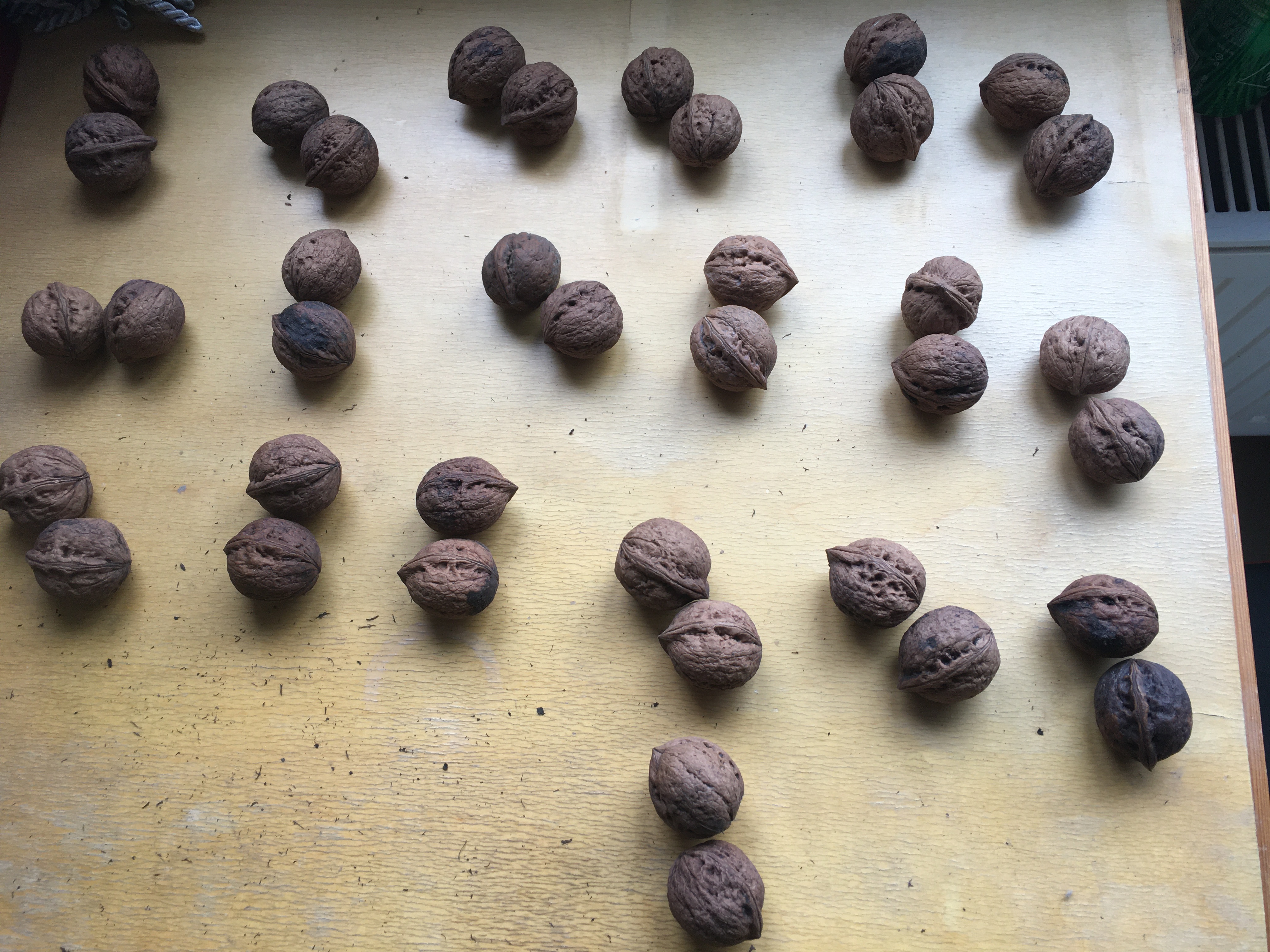 风氏文玩收藏馆：铁核桃——大理鸡心