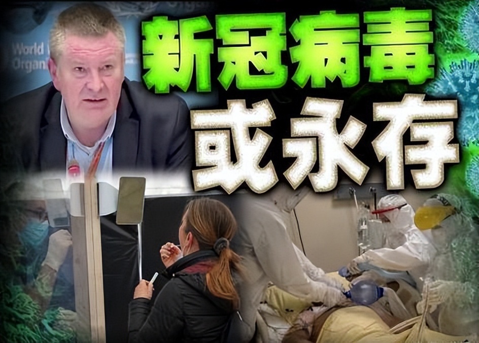 世卫组织对武汉新冠病毒调查结果,世卫组织宣布新冠病毒世界大流行