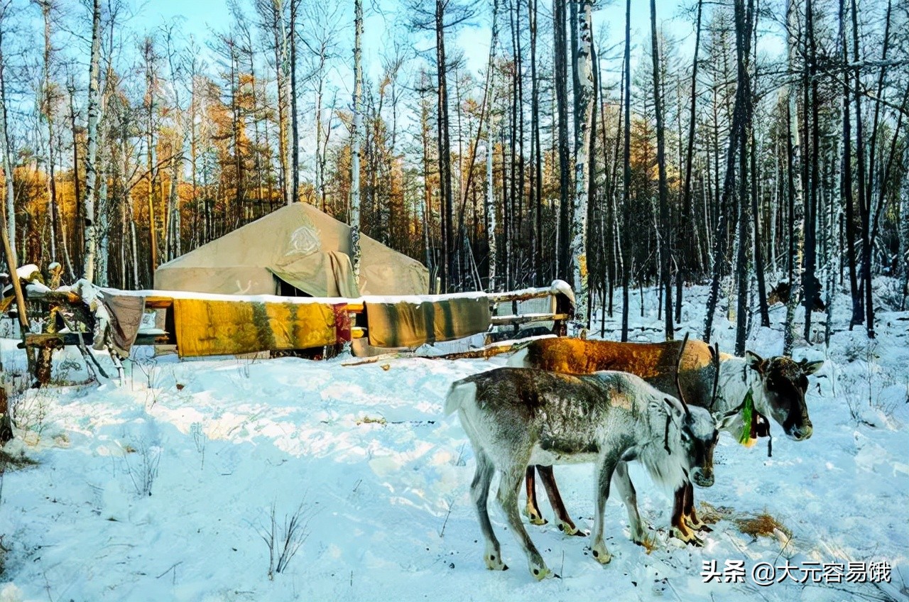 天寒地冻中国十大最冷的地方,中国冬天最冷的地方70度是真的吗