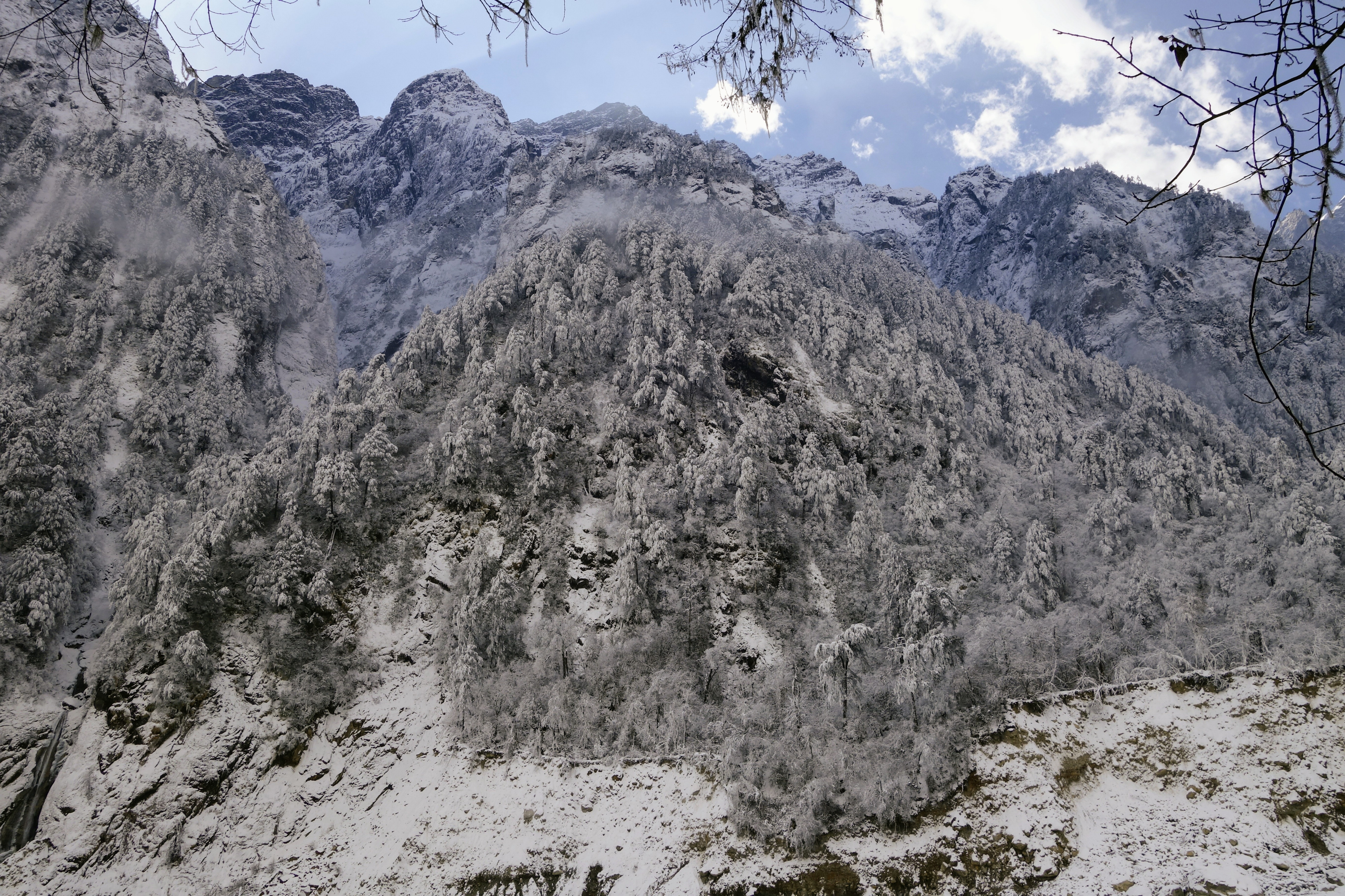 川西圣境游玩攻略,甘孜燕子沟攻略