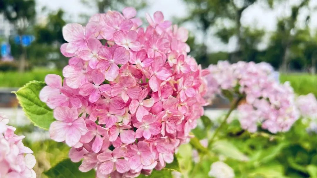 一个男人爱不爱你从细节看得出来,从吃饭看出男人对你爱不爱的表现