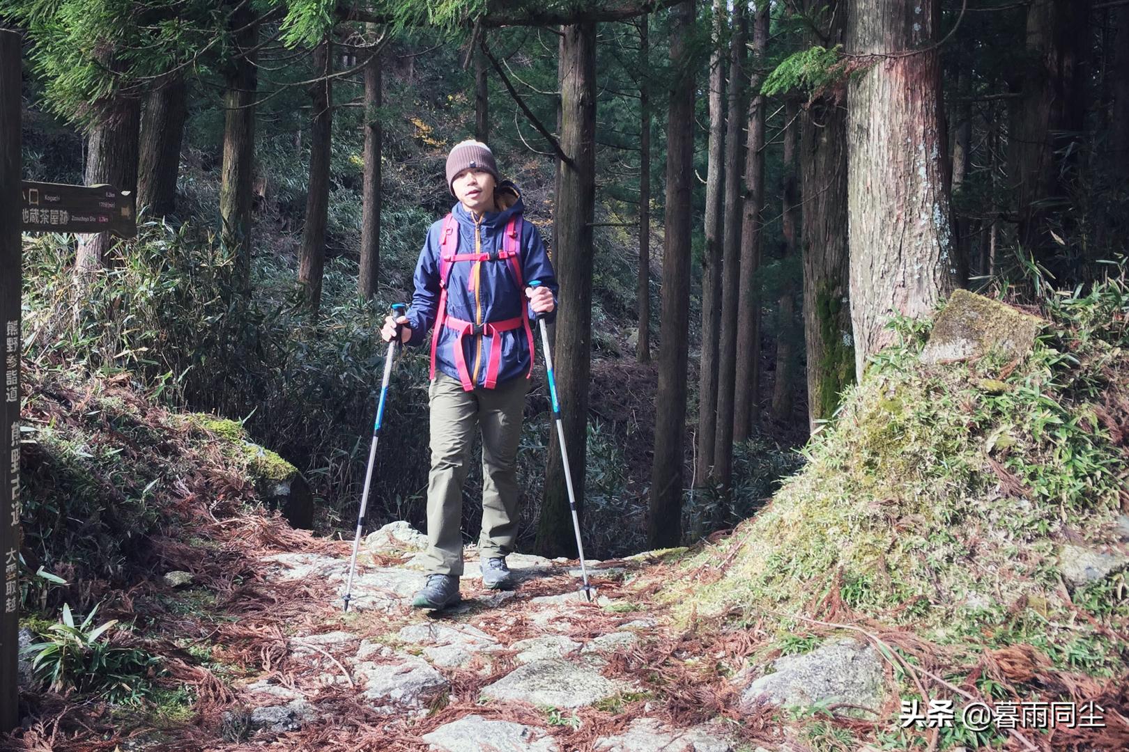 登山杖使用攻略,登山杖用法登山需要佩戴手套吗