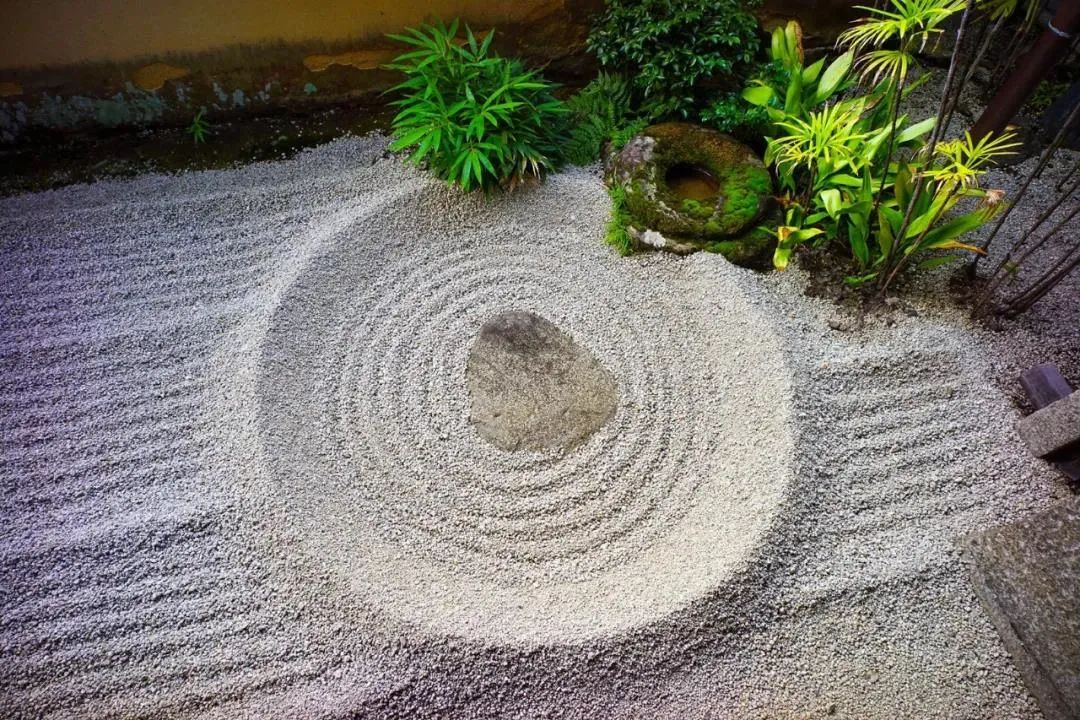 日本枯山水景观,日本枯山水中的树是什么树