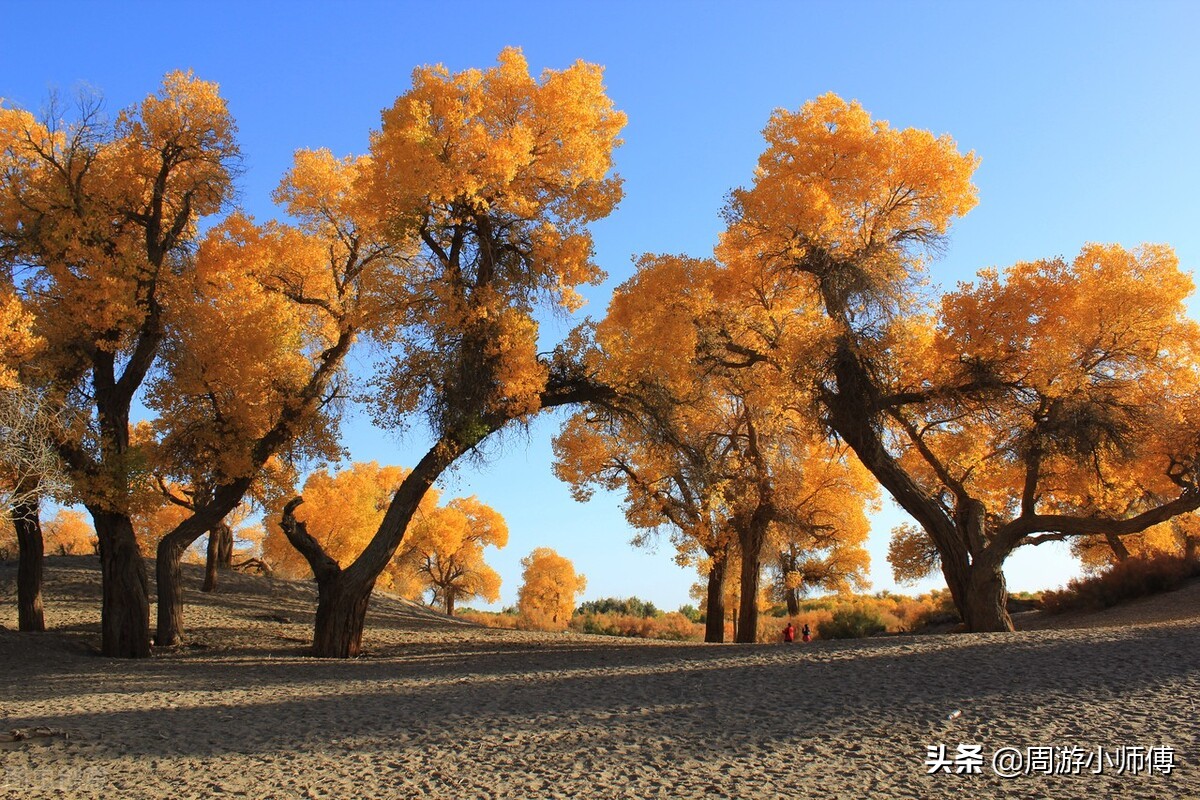 内蒙古经典自驾游路线,内蒙古精品旅游路线推荐