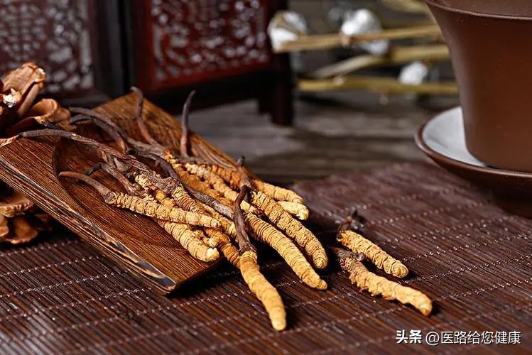 冬虫夏草对免疫系统的作用 (冬虫夏草能真正提高免疫力吗)