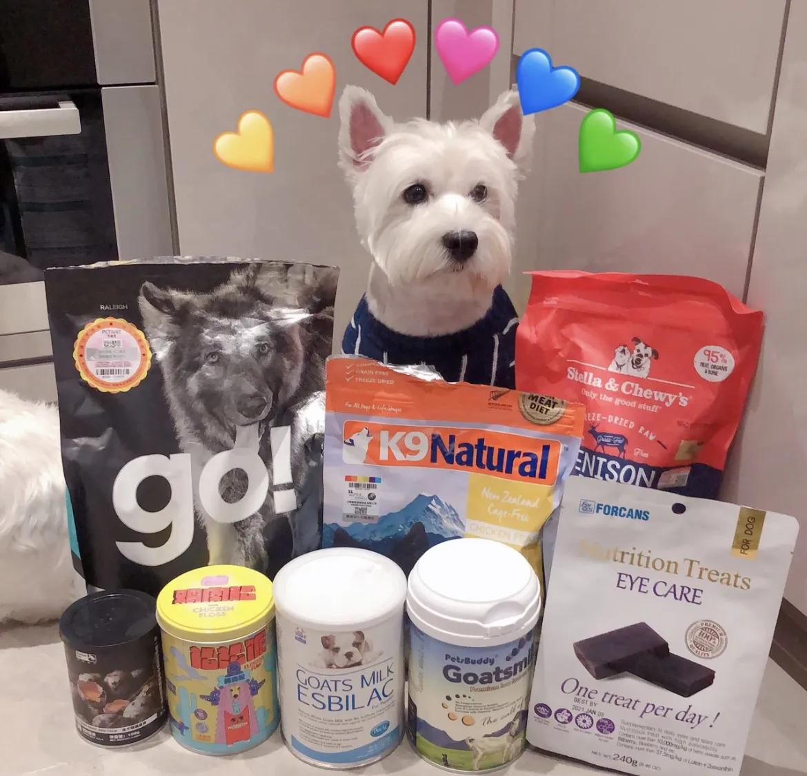 疫情期间的宠物用品,宠物生病常备药有哪些呢