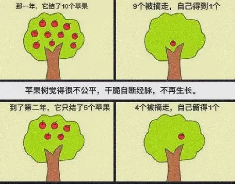 40岁以后投资自己最好的方式,35岁以上如何投资自己