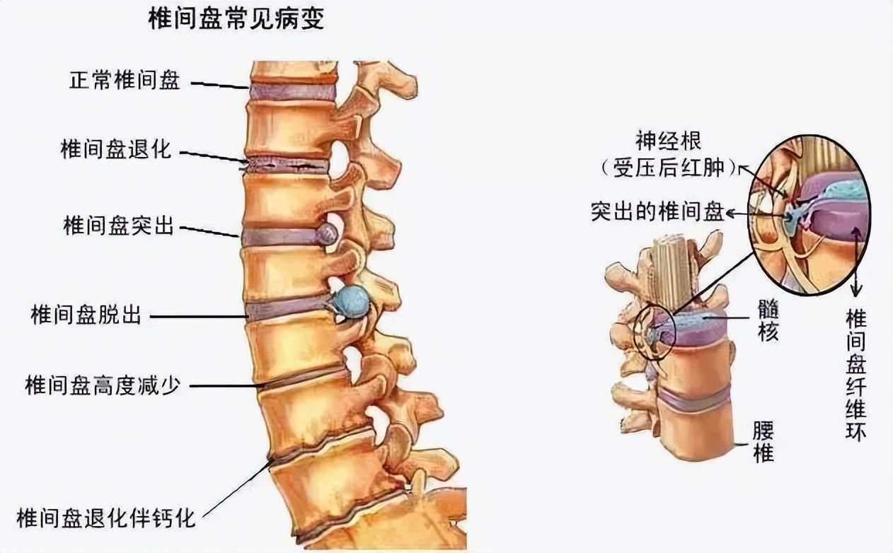 张耀扬的23岁到59岁荧幕变化,张耀扬年轻帅照