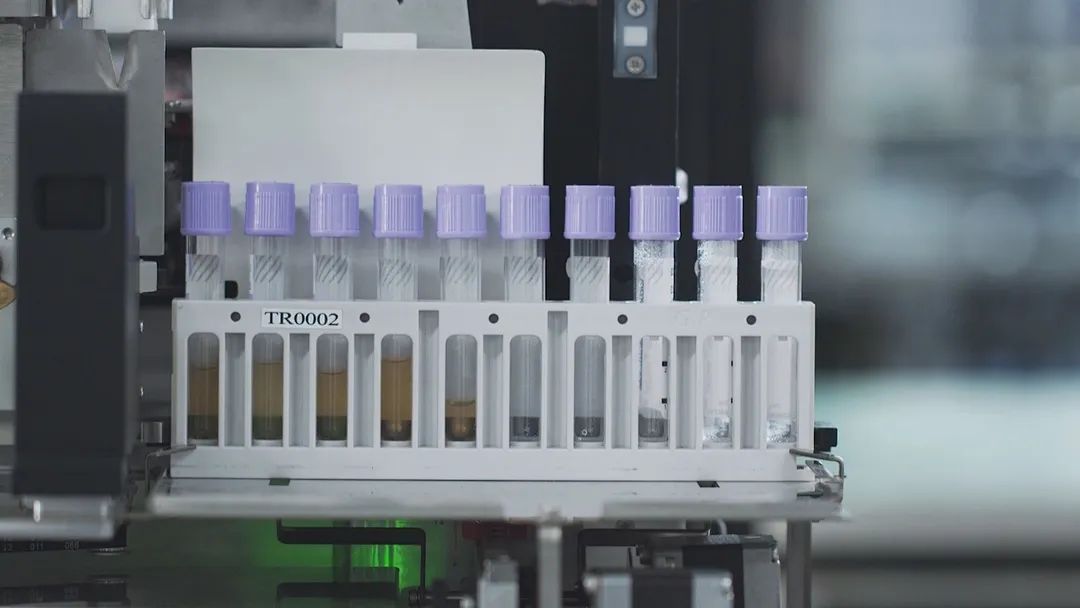 外贸逆势上扬实现较快增长,2020年出口贸易逆势增长1.5%