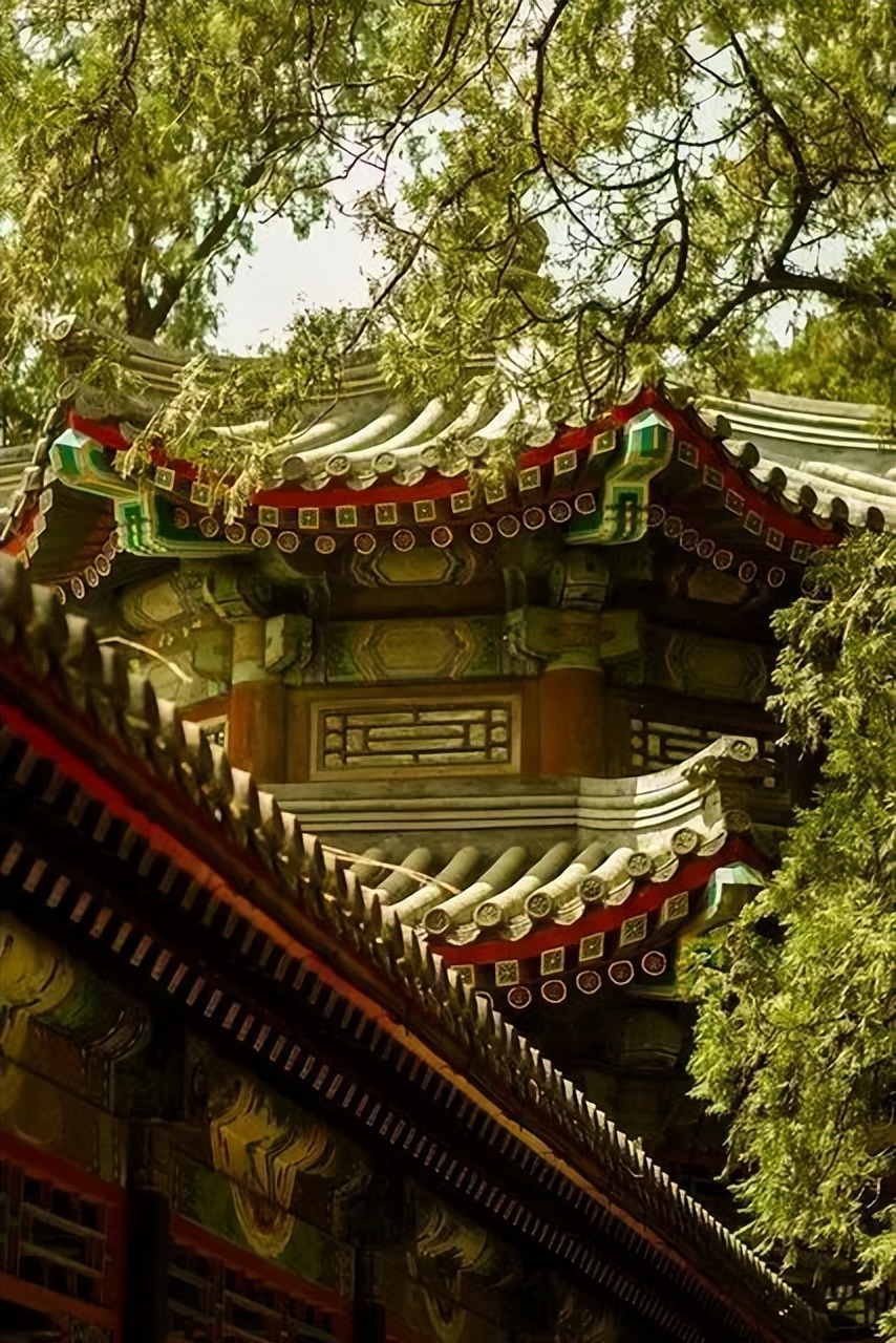 刚试了一下中华文字果然博大精深,涨知识了快来看看中国文字的魅力