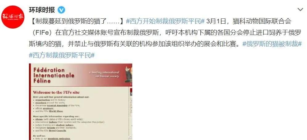 北约制裁俄罗斯的猫是什么意思,俄罗斯猫咪被制裁后的现状